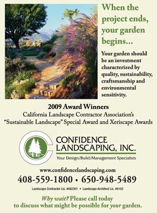 Confidence Landscaping