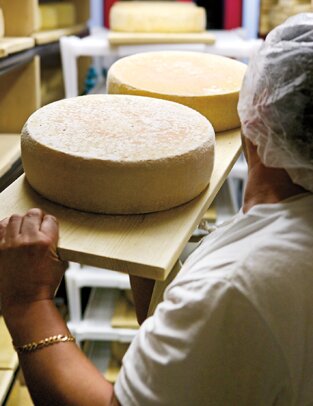 Nicasio Valley Cheese Company, Nicasio; photo by Lane Johnson